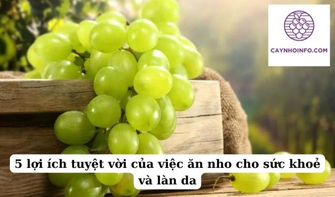 5 lợi ích tuyệt vời của việc ăn nho cho sức khoẻ và làn da