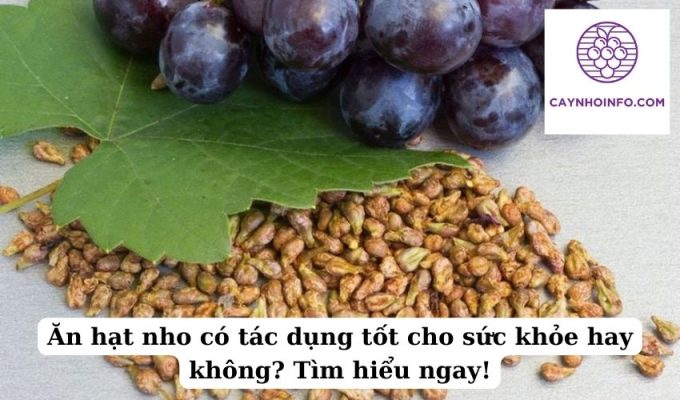 Ăn hạt nho có tác dụng tốt cho sức khỏe hay không Tìm hiểu ngay!