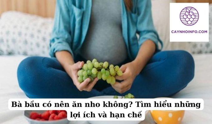 Bà bầu có nên ăn nho không Tìm hiểu những lợi ích và hạn chế