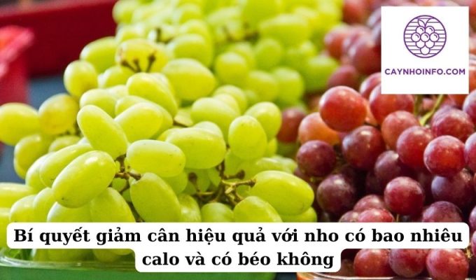 Bí quyết giảm cân hiệu quả với nho có bao nhiêu calo và có béo không