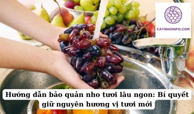 Hướng dẫn bảo quản nho tươi lâu ngon Bí quyết giữ nguyên hương vị tươi mới