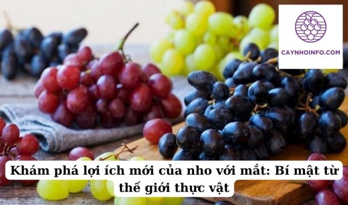 Khám phá lợi ích mới của nho với mắt Bí mật từ thế giới thực vật