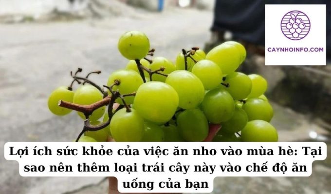 Lợi ích sức khỏe của việc ăn nho vào mùa hè Tại sao nên thêm loại trái cây này vào chế độ ăn uống của bạn