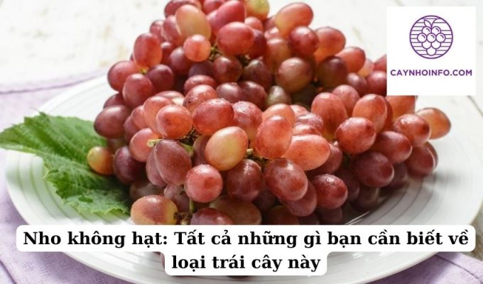 Nho không hạt Tất cả những gì bạn cần biết về loại trái cây này