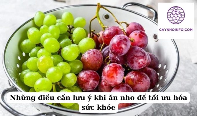 Những điều cần lưu ý khi ăn nho để tối ưu hóa sức khỏe