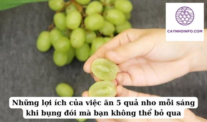 Những lợi ích của việc ăn 5 quả nho mỗi sáng khi bụng đói mà bạn không thể bỏ qua