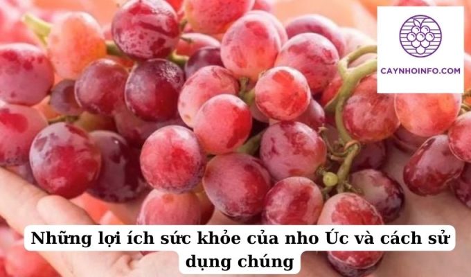 Những lợi ích sức khỏe của nho Úc và cách sử dụng chúng