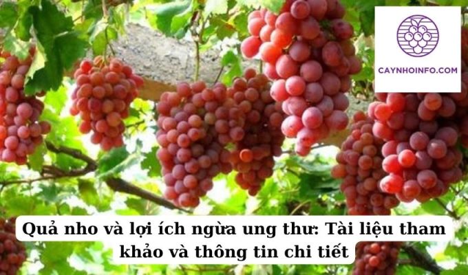 Quả nho và lợi ích ngừa ung thư Tài liệu tham khảo và thông tin chi tiết