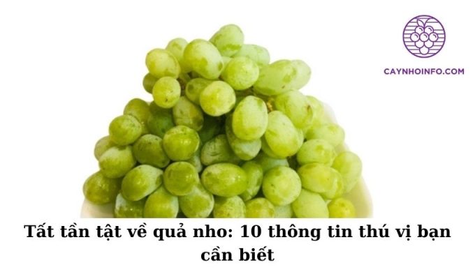 Tất tần tật về quả nho 10 thông tin thú vị bạn cần biết